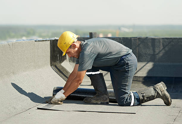 Best Commercial Insulation in Emma, NC